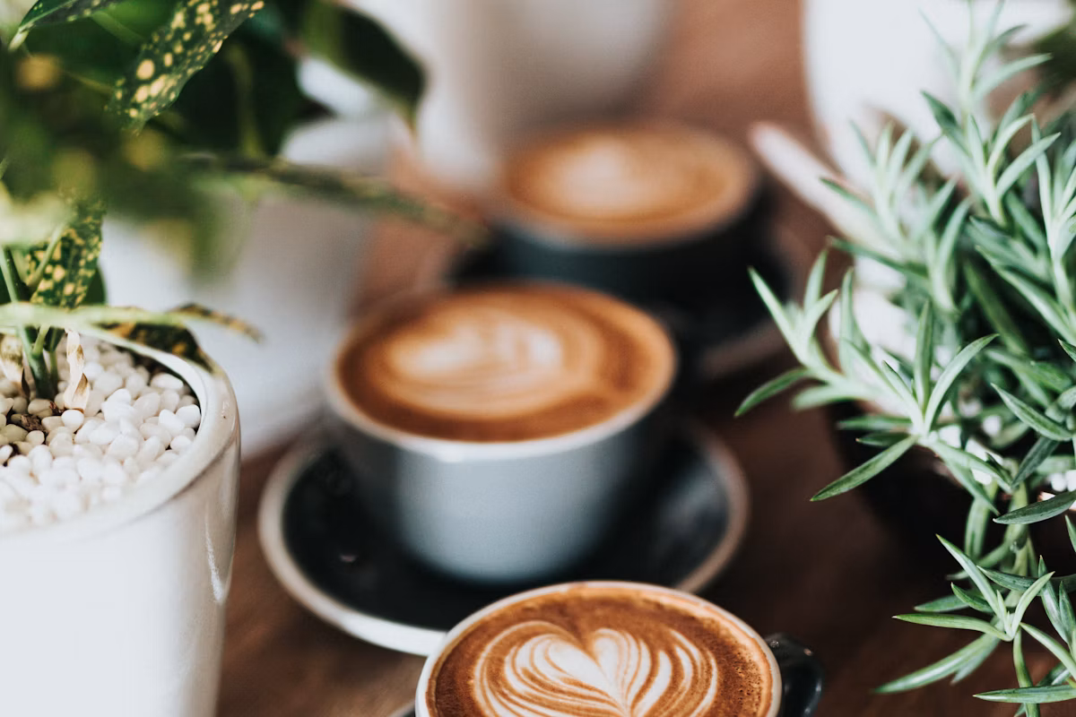 Millstream Coffee — espresso bar